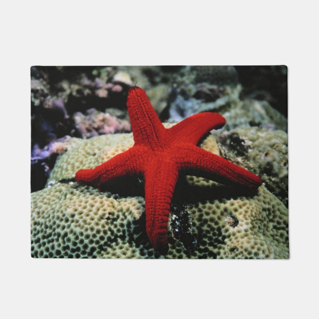 Tapete Mar Vermelho dos peixes | da estrela (Frente)