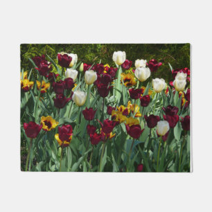 Tapete Maroon e Tulipas Amarelas Palidez Colorida