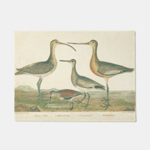 Tapete Marsh Bird Curlew Snipe Birding