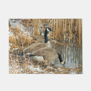 Tapete Marsh Geese Birds Goose