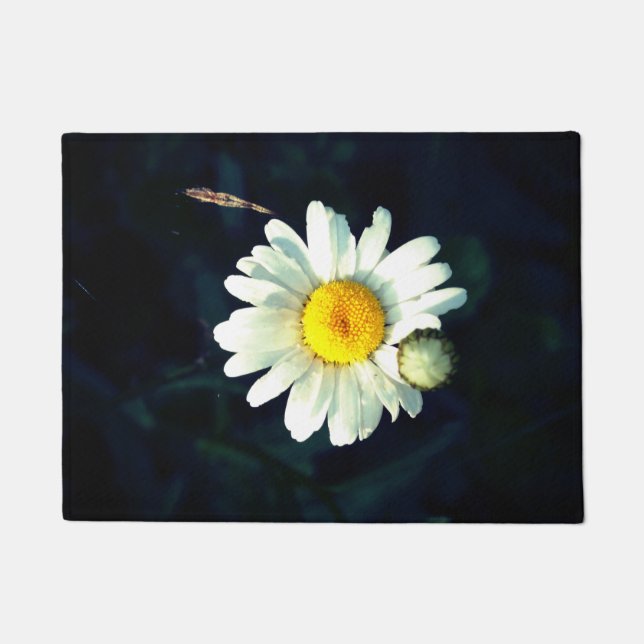 Tapete Matriz de Fotografias da Daisy Branca (Frente)