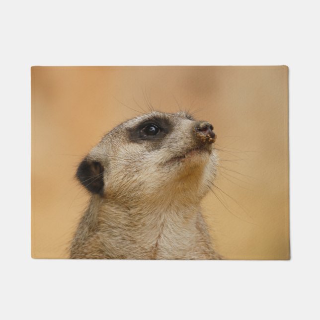 Tapete Meerkat 011 (Frente)