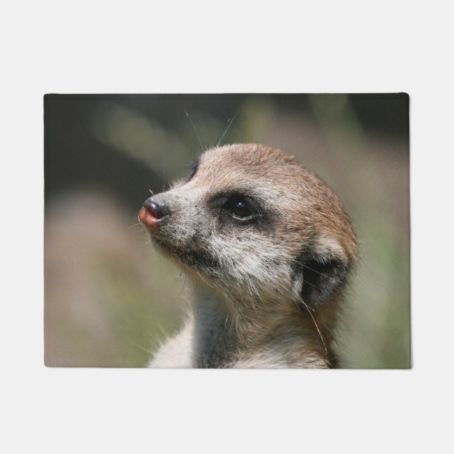 Tapete Meerkat 014 (Frente)