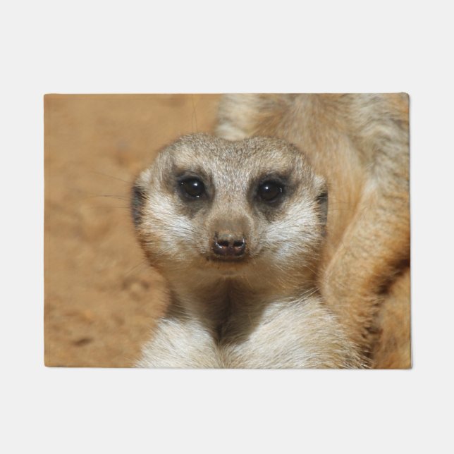 Tapete Meerkat 016 (Frente)
