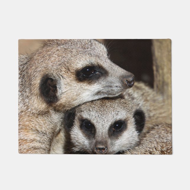Tapete Meerkat 019 (Frente)