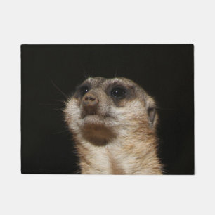 Tapete Meerkat 032