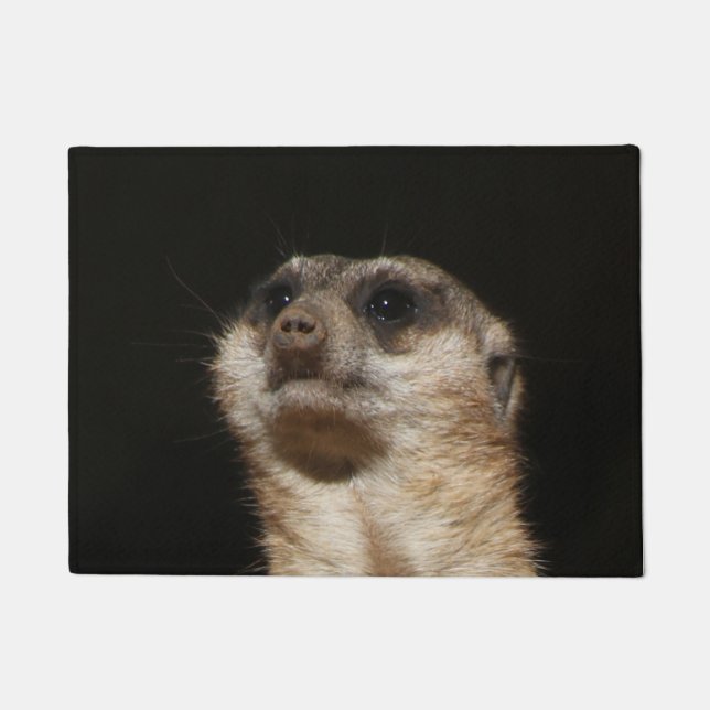 Tapete Meerkat 032 (Frente)