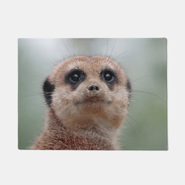 Tapete Meerkat 036 (Frente)