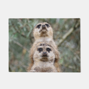 Tapete Meerkat 081