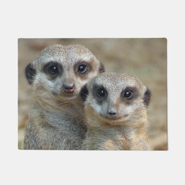 Tapete Meerkat 085 (Frente)