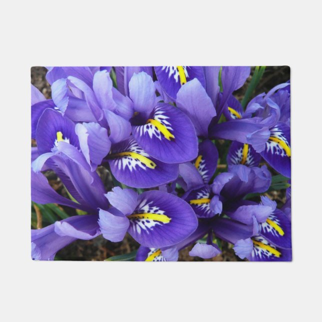 Tapete Miniatura Azul Levanta Primavera Floral (Frente)
