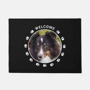 Tapete Modelo de Fotografia Pet Personalizado com Pws