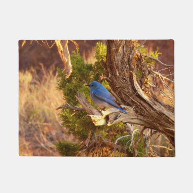 Tapete Mountain Bluebird no Parque Nacional de Arches (Frente)