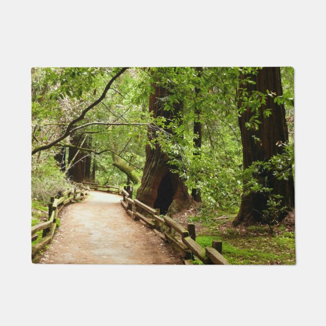 Tapete Muir Woods Path II - Fotografia natural (Frente)