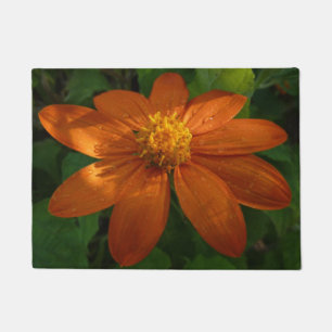 Tapete Nascer do sol na Flor de Laranja do Girassol Mexic