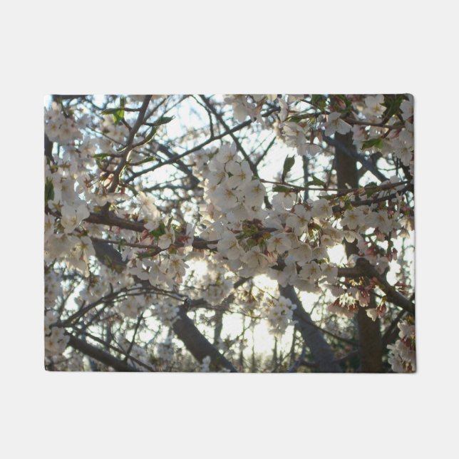 Tapete Noite de Cherry Blossoms II Primavera Sunset (Frente)