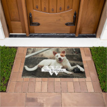 Nome da Família com Foto de Cachorro Personalizada