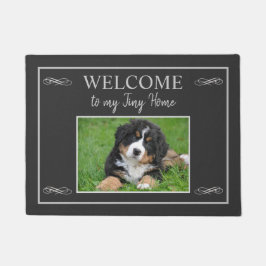 Tapete Nome da família de fotos russa bem-vindo à minha p