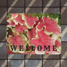 O caládio cor-de-rosa esfregado deixa as boas-vind