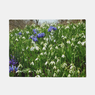 Tapete O montanhês do primavera adiantado floresce a