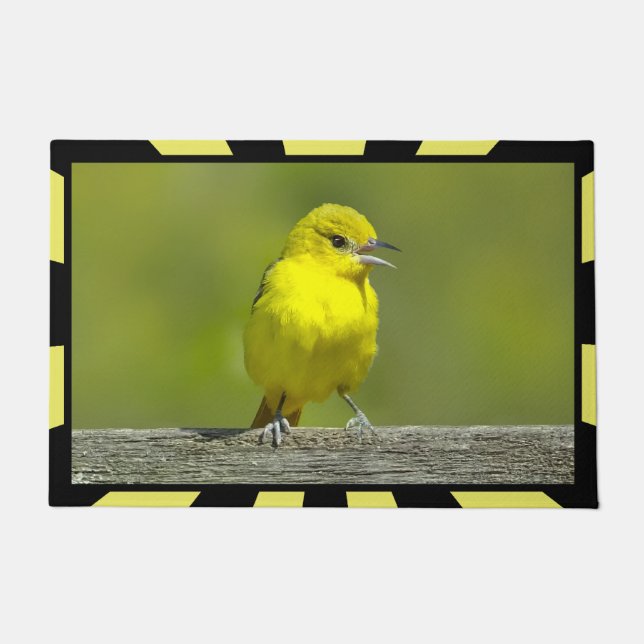 Tapete Orchard Oriole - Fotografia Original (Frente)