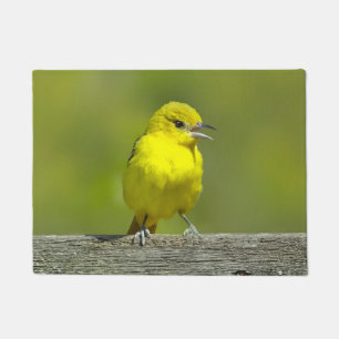 Tapete Orchard Oriole - Fotografia original