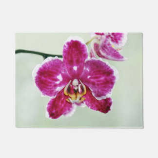 Tapete Orquídea Rosa