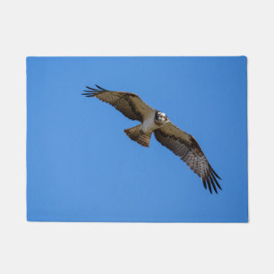 Tapete Osprey do vôo com um alvo na vista