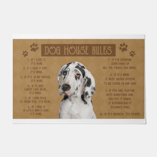 Tapete Ótimas regras da Casa de Cachorro, se ela quebrou,