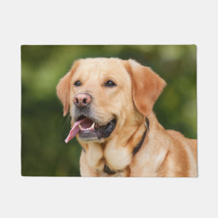 Tapete Ouro Labrador
