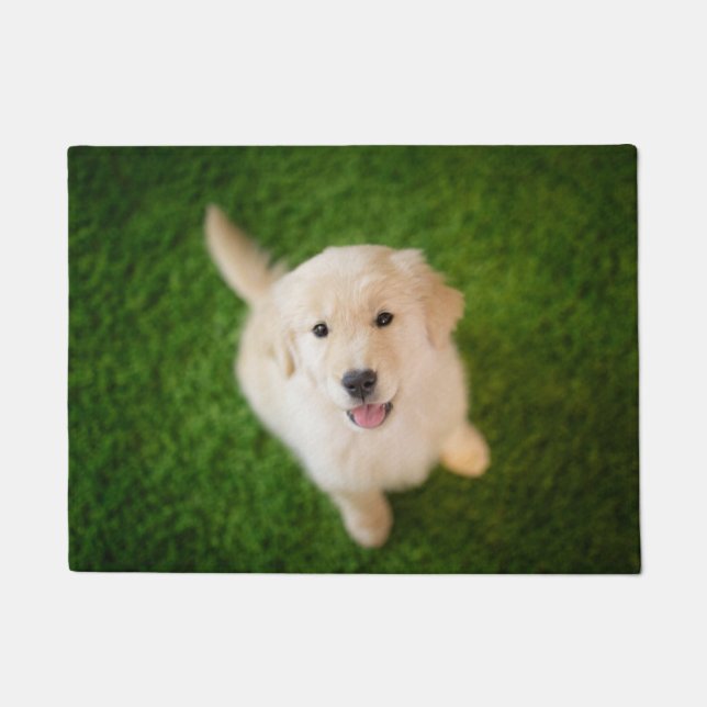 Tapete Ouro - Retirador de Puppy com Grass (Frente)