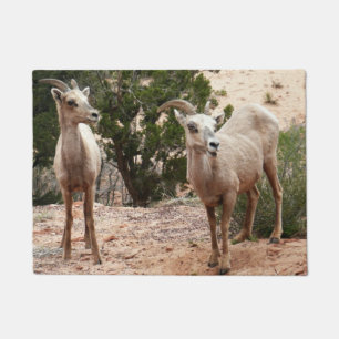 Tapete Ovelha Engraçada no Parque Nacional do Zion