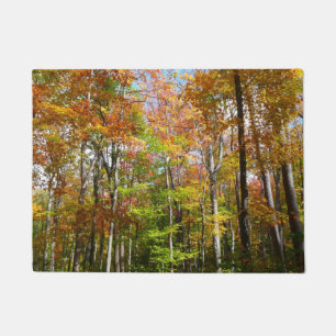 Tapete Paisagem de outono de Floresta II