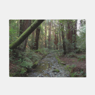Tapete Paisagem Florestal do Córrego de Muir Woods