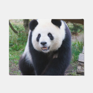 Tapete Panda_20190301_by_JAMFoto