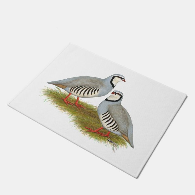 Tapete Par de Chukar Partridge (Inclinado)