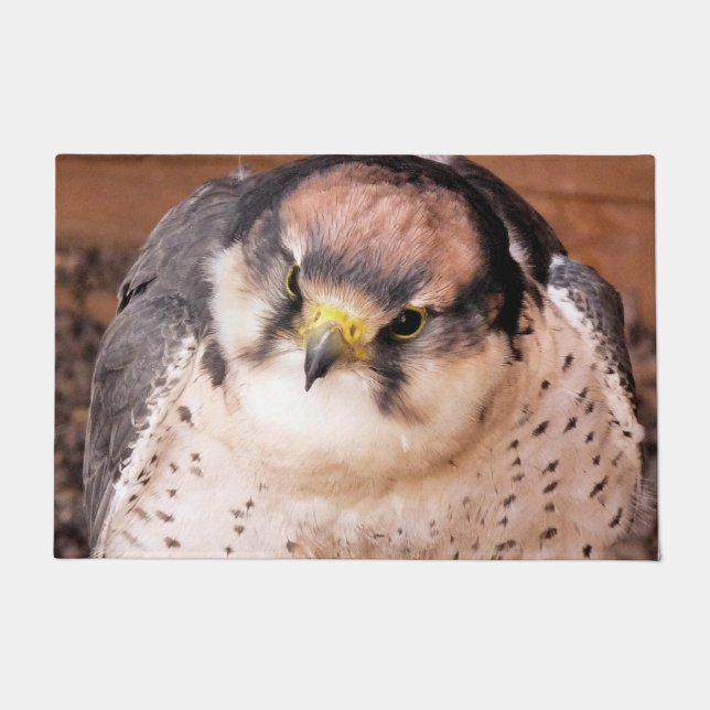 TAPETE PÁSSARO FALCON DE PRESA (Frente)