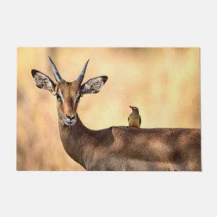 Tapete Pássaro Impala e Oxpecker na África