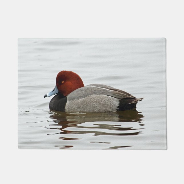Tapete Pato Drake do Redhead (Frente)