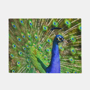 Tapete Pavão Azul Brilhante