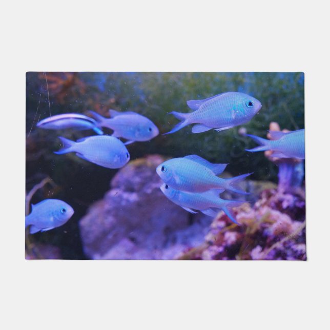 Tapete Peixe Azul Tropical (Frente)