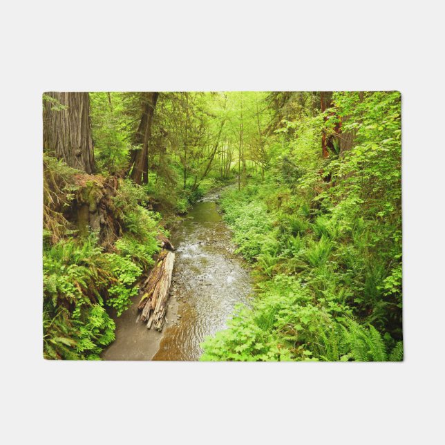 Tapete Perdido Homem Creek II no Parque Nacional de Redwo (Frente)