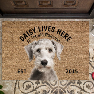 Tapete Pet Personalizado Bedlington Terrier