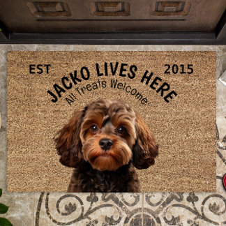 Tapete Pet Personalizado Cavapoo