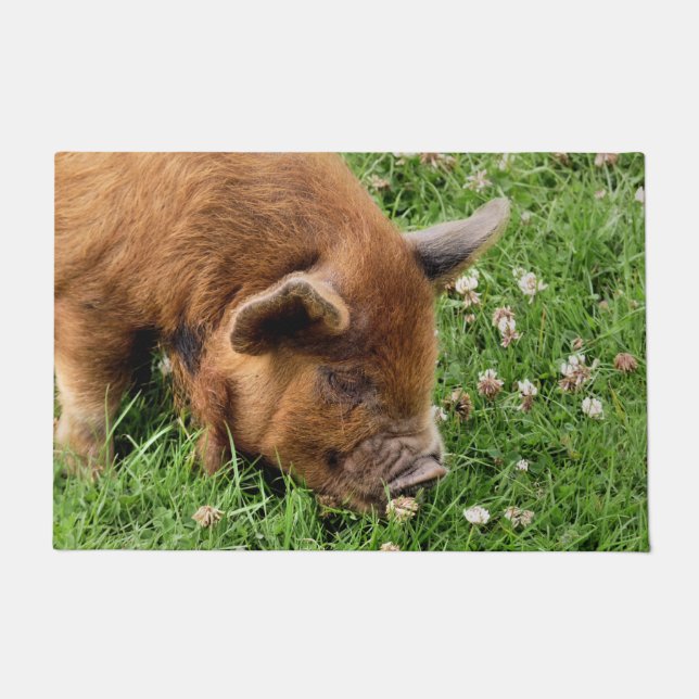 TAPETE PIG CUTO (Frente)