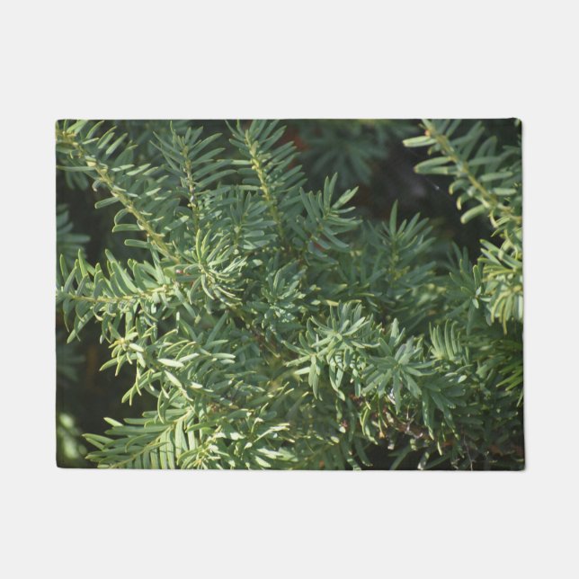 Tapete Pine Forest (Frente)