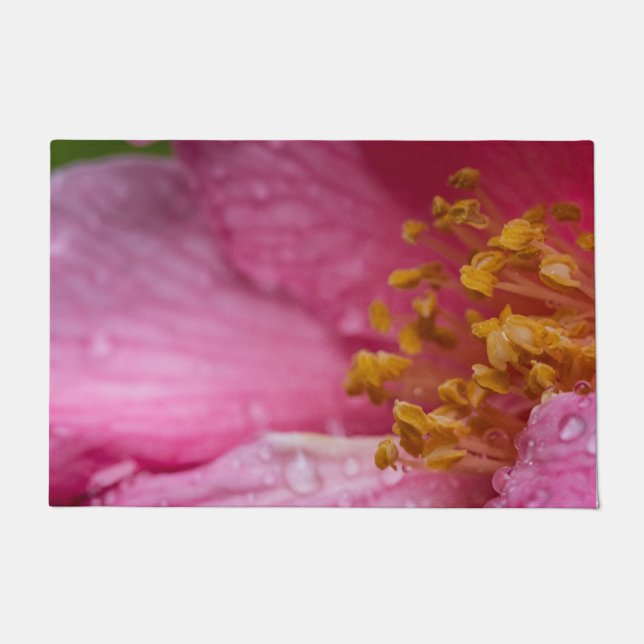 Tapete Pink Camellia Flower Stamens (Frente)
