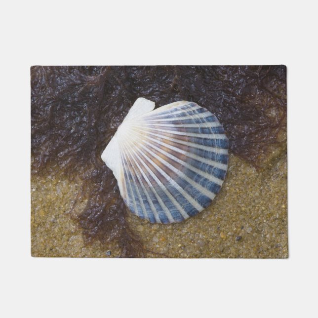 Tapete Piscina maré (Frente)