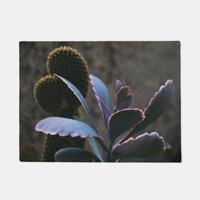 Tapete Plantas do deserto (Frente)