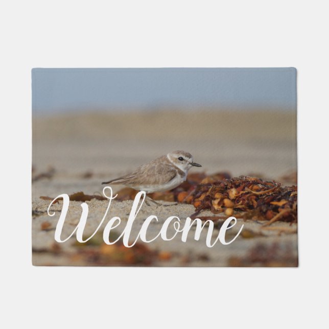 Tapete Plover e algas marinhas (Frente)